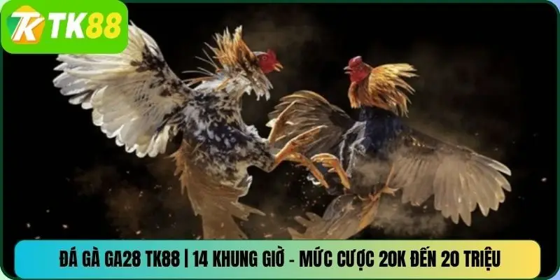 Đá Gà GA28 TK88 | 14 Khung Giờ – Mức Cược 20K Đến 20 Triệu