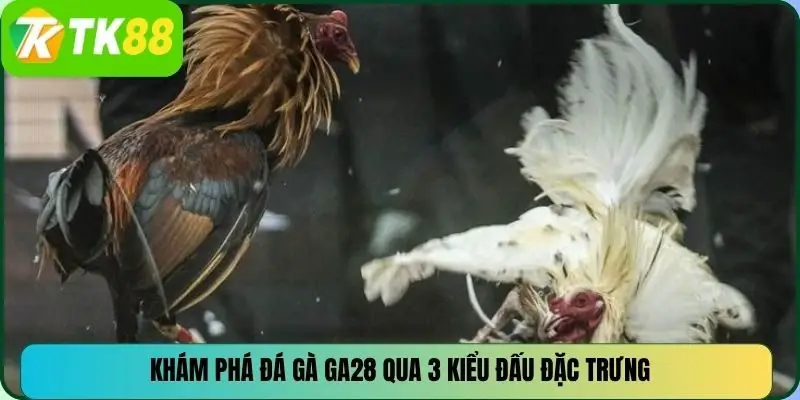 Khám phá đá gà GA28 qua 3 kiểu đấu đặc trưng